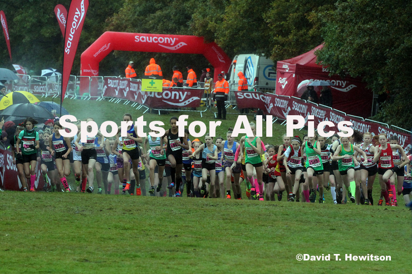 Girls under-13s, National Cross Country Relay Champs., Berry Hill Park, Mansfield.  Photo: David T. Hewitson/Sports for All Pics